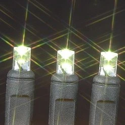 Novelty Lights Inc Novelty Lights 50 Light LED Christmas Mini Light Set (Black Wire, 25 Feet) 20 Novelty Lights Inc Novelty Lights 50 Light LED Christmas Mini Light Set (Black Wire, 25 Feet) -Hyde and Eek Cosplay Store GUEST 010460a6 2b0c 4004 ad42 94acb39bbad6