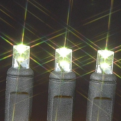 Novelty Lights Inc Novelty Lights 50 Light LED Christmas Mini Light Set (Black Wire, 25 Feet) 3 Novelty Lights Inc Novelty Lights 50 Light LED Christmas Mini Light Set (Black Wire, 25 Feet) - Image 3