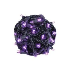 Novelty Lights Inc Novelty Lights 50 Light LED Christmas Mini Light Set (Black Wire, 25 Feet) 32 Novelty Lights Inc Novelty Lights 50 Light LED Christmas Mini Light Set (Black Wire, 25 Feet) -Hyde and Eek Cosplay Store GUEST 01c0092d d33c 450e 9cc5 06d420906915
