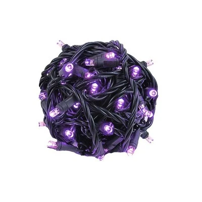 Novelty Lights Inc Novelty Lights 50 Light LED Christmas Mini Light Set (Black Wire, 25 Feet) 15 Novelty Lights Inc Novelty Lights 50 Light LED Christmas Mini Light Set (Black Wire, 25 Feet) - Image 15