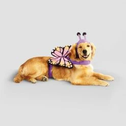 Halloween Full Body LED Butterfly Cat and Dog Costume - Hyde & EEK! Boutique™ -Hyde and Eek Cosplay Store GUEST 034aba42 c65a 472d 8dbe 5c8509c04883 1
