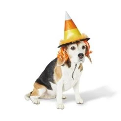 Candy Corn Witch Hat Dog and Cat Costume - Hyde & EEK! Boutique™ -Hyde and Eek Cosplay Store GUEST 037c0a28 b98e 4f3b 9f2c 8b0db0b93ba7