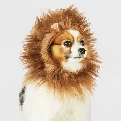 Lion Ruff Headwear Dog and Cat Costume - Brown - Hyde & EEK! Boutique™ 5 Lion Ruff Headwear Dog and Cat Costume - Brown - Hyde & EEK! Boutique™ - Image 5