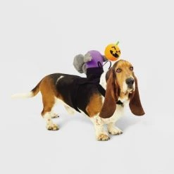 Headless Horseman Squirrel Rider Dog and Cat Costume - Hyde & EEK! Boutique™ -Hyde and Eek Cosplay Store GUEST 074d438b 072e 413e 95c2 0a09aebf6a71