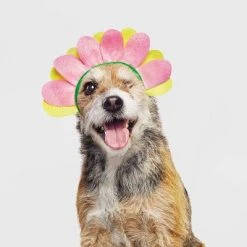 Halloween Flower Cat and Dog Headwear - Hyde & EEK! Boutique™ -Hyde and Eek Cosplay Store GUEST 0862e90c 1953 4bfd b6cb 0b705db69059