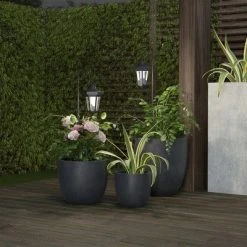 Nature Spring Solar Lanterns and Shepherd's Hooks - Set of 2 -Hyde and Eek Cosplay Store GUEST 15b892e2 25fa 4469 a20b d5fffda4ebd4