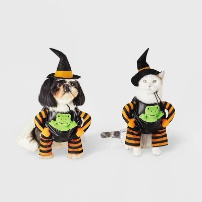 Witch with Toy Frog Dog and Cat Costume - Hyde & EEK! Boutique™ 5 Witch with Toy Frog Dog and Cat Costume - Hyde & EEK! Boutique™ - Image 5