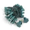 Novelty Lights Inc Novelty Lights Clear 100 Light Incandescent Mini Christmas String Lights 22 Feet