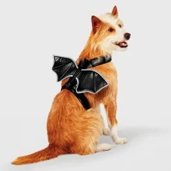 Reflective Halloween Bat Wings Rider Dog and Cat Costume - Hyde & EEK! Boutique™ -Hyde and Eek Cosplay Store GUEST 2152008a 90b7 409c 879d c15f0110c5de 1