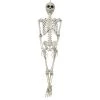 Sunstar Industries Sunstar Skeleton Hanging Halloween Decoration - 3 ft - Gray