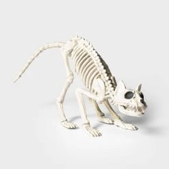 Hyde & EEK! Boutique 13" Cat Skeleton Halloween Decorative Prop - Hyde & EEK! Boutique™