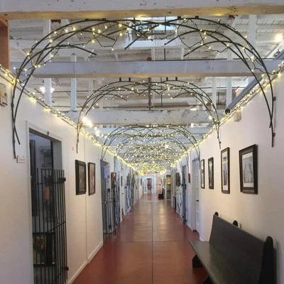 Novelty Lights Inc Novelty Lights 50 Light LED Christmas Mini Light Set (Black Wire, 25 Feet) 6 Novelty Lights Inc Novelty Lights 50 Light LED Christmas Mini Light Set (Black Wire, 25 Feet) - Image 6