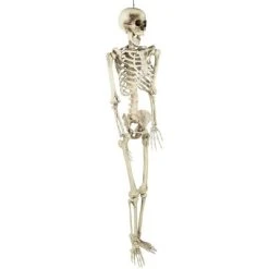 Northlight 5' Life Size Skeleton Indoor/Outdoor Halloween Decoration - White/Gray -Hyde and Eek Cosplay Store GUEST 31ffc76d 6ab6 4d56 9978 b4b32ded9fad