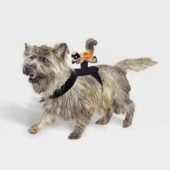 Rider Wings Halloween Superhero Squirrel Cat and Dog Costume - Hyde & EEK! Boutique™ 11 Rider Wings Halloween Superhero Squirrel Cat and Dog Costume - Hyde & EEK! Boutique™ -Hyde and Eek Cosplay Store GUEST 47f8fb9b 2747 4874 8303 03ba78691f54