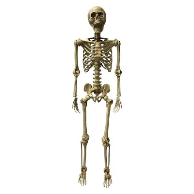 Studio Halloween, LLC Deluxe 5 Foot Poseable Skeleton Halloween Decoration 1 Studio Halloween, LLC Deluxe 5 Foot Poseable Skeleton Halloween Decoration