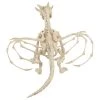 Seasons USA Inc Seasons USA Skeleton Dragon Prop Halloween Decoration - 13 in x 22 in x 8 in - Off-White