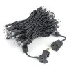 Novelty Lights Inc Novelty Lights LED Christmas String Lights Light Set 100 Mini Bulbs (Black Wire, 34 Feet)