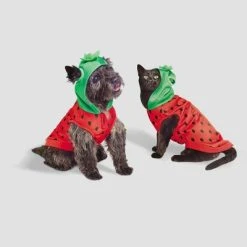 Basic Halloween Strawberry Cat and Dog Hoodie - Hyde & EEK! Boutique™ -Hyde and Eek Cosplay Store GUEST 602f238f b5de 4575 804c cedc95b8509e 1