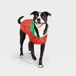 Basic Halloween Strawberry Cat and Dog Hoodie - Hyde & EEK! Boutique™ -Hyde and Eek Cosplay Store GUEST 6a89f053 4a75 4ee0 ab48 2bf6a250c09f