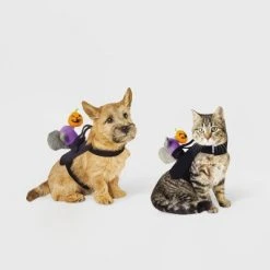 Headless Horseman Squirrel Rider Dog and Cat Costume - Hyde & EEK! Boutique™ -Hyde and Eek Cosplay Store GUEST 6e9d257d 2f7c 4425 93f0 35d164d8b7a1