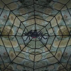 Sunstar Industries Sunstar Giant Spider Web with Spider Halloween Decoration - 10 ft - Black