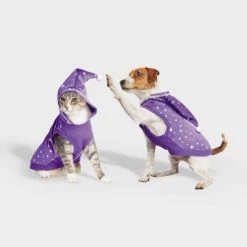 Basic Halloween Velour Wizard Cat and Dog Hoodie - Hyde & EEK! Boutique™ 14 Basic Halloween Velour Wizard Cat and Dog Hoodie - Hyde & EEK! Boutique™ -Hyde and Eek Cosplay Store GUEST 6f209f4a 3013 45db 97e7 e636650a8522