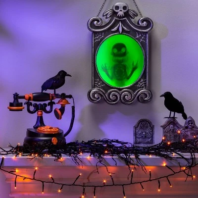 Hyde & EEK! Boutique Animated Faded Skeleton in Frame Halloween Decorative Prop - Hyde & EEK! Boutique™ 1 Hyde & EEK! Boutique Animated Faded Skeleton in Frame Halloween Decorative Prop - Hyde & EEK! Boutique™