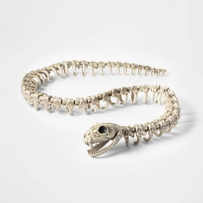 Hyde & EEK! Boutique 71.5" Snake Skeleton Halloween Decorative Prop - Hyde & EEK! Boutique™ 1 Hyde & EEK! Boutique 71.5" Snake Skeleton Halloween Decorative Prop - Hyde & EEK! Boutique™