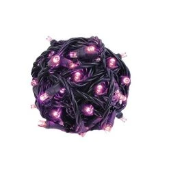 Novelty Lights Inc Novelty Lights 50 Light LED Christmas Mini Light Set (Black Wire, 25 Feet) 31 Novelty Lights Inc Novelty Lights 50 Light LED Christmas Mini Light Set (Black Wire, 25 Feet) -Hyde and Eek Cosplay Store GUEST 7df7b3b5 1d7e 4271 a471 ec7469780c0a
