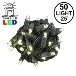 Novelty Lights Inc Novelty Lights 50 Light LED Christmas Mini Light Set (Black Wire, 25 Feet) 22 Novelty Lights Inc Novelty Lights 50 Light LED Christmas Mini Light Set (Black Wire, 25 Feet) -Hyde and Eek Cosplay Store GUEST 854d39f1 5677 4415 b0cc ba6883c0bea4