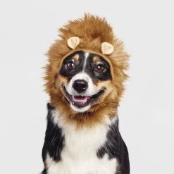 Halloween Lion Cat and Dog Headwear - Hyde & EEK! Boutique™ -Hyde and Eek Cosplay Store GUEST 8f4ac99b 8908 4bb5 830d eb060bfb391a