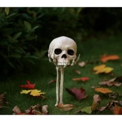 Seasons USA Inc Seasons USA Skull in Hand Ground Breaker Halloween Decoration - 6 in x 7 in x 14.5 in - White 5 Seasons USA Inc Seasons USA Skull in Hand Ground Breaker Halloween Decoration - 6 in x 7 in x 14.5 in - White -Hyde and Eek Cosplay Store GUEST 98e0c917 f316 476b bb80 9085698718c4