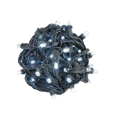 Novelty Lights Inc Novelty Lights 50 Light LED Christmas Mini Light Set (Black Wire, 25 Feet) 8 Novelty Lights Inc Novelty Lights 50 Light LED Christmas Mini Light Set (Black Wire, 25 Feet) - Image 8