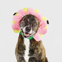 Halloween Flower Cat and Dog Headwear - Hyde & EEK! Boutique™ -Hyde and Eek Cosplay Store GUEST d1923860 f9c4 4a11 8f42 5a4007cda41e 1