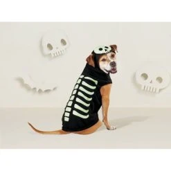 Skeleton Glow Hoodie Halloween Dog and Cat Costume - Hyde & EEK! Boutique™ -Hyde and Eek Cosplay Store GUEST d1dfee12 95ba 4683 9455 ec67cb1fa09c 1