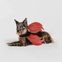 Rider Wings Halloween Red Devil Cat and Dog Costume - Hyde & EEK! Boutique™ -Hyde and Eek Cosplay Store GUEST d5d516f3 0947 42fe bea5 e99e854c9f30