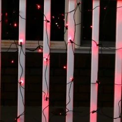 Sunnydaze Decor Sunnydaze Electric Plug-In 70ct LED Indoor/Outdoor Net String Lights 5mm Wide Angle - 6' x 4' Green Wire 19 Sunnydaze Decor Sunnydaze Electric Plug-In 70ct LED Indoor/Outdoor Net String Lights 5mm Wide Angle - 6' x 4' Green Wire -Hyde and Eek Cosplay Store GUEST f7de8979 9b93 43d6 ac59 fe5380a48357